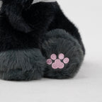 Aizawameow