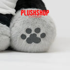 [Last 4pcs] Hakujimeow