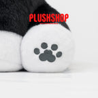 Kanekimeow