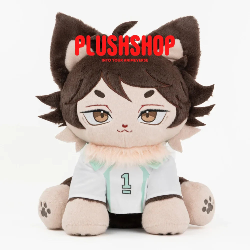 Oikawameow